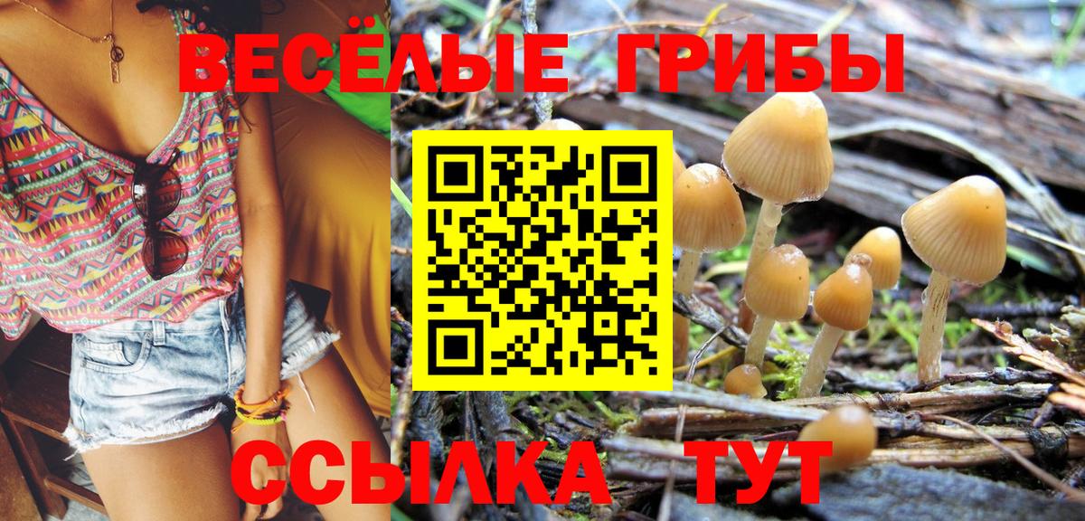 Галлюциногенные грибы Magic Shrooms  Вход с VPN  продажа наркотиков  Россошь 