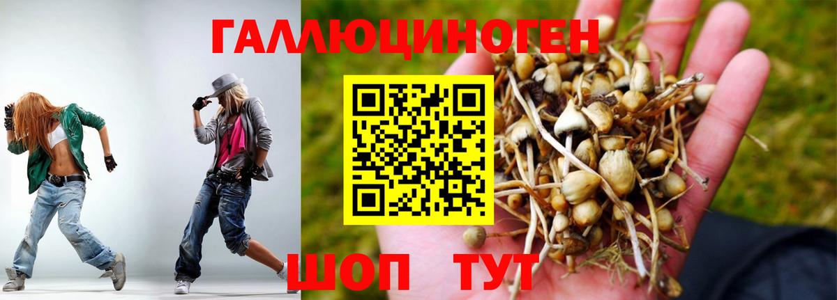 Галлюциногенные грибы ЛСД Россошь